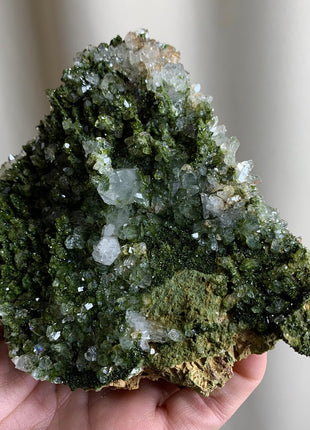 Forest Epidote with Quartz 🌲