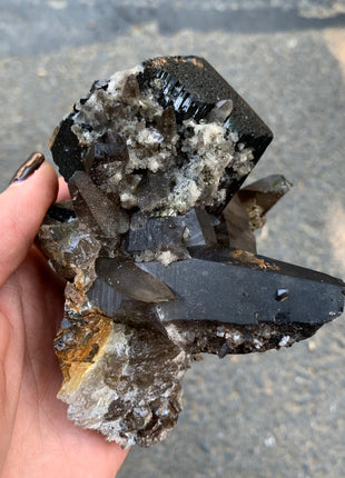 Black Tourmaline With Smoky Quartz - From Erongo, Namibia