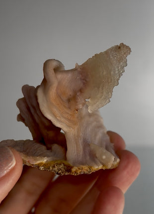 Unusual ! Quartz after Chalcedony  Specimen PM1728