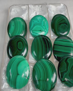 Collection image for: New Arrivals