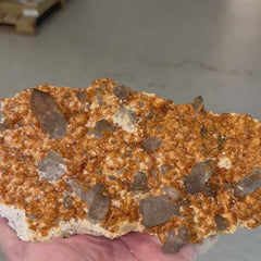 Collection image for: Quartz