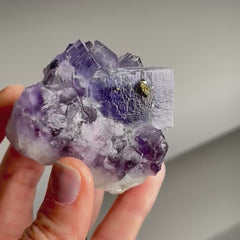 Collection image for: Zoning Fluorite