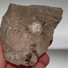 Collection image for: Herkimer Diamond