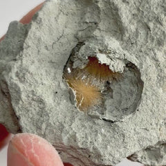Collection image for: Bursting Sun Aragonite
