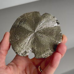 Collection image for: Pyrite Sun