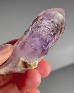 Collection image for: New Arrivals