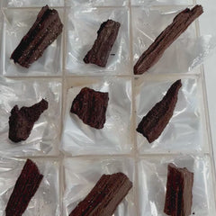 Collection image for: Permineralized Fossil Wood
