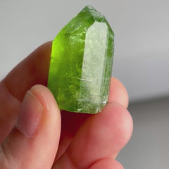 Collection image for: Gemmy Peridot