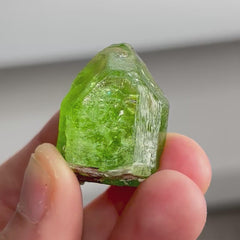 Collection image for: Gemmy Peridot