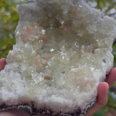 Collection image for: Green Apophyllite