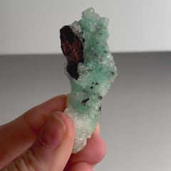 Collection image for: Blue Aragonite