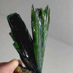 Collection image for: Vivianite