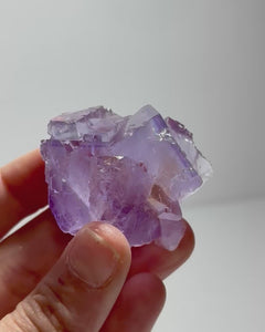 Collection image for: New Arrivals