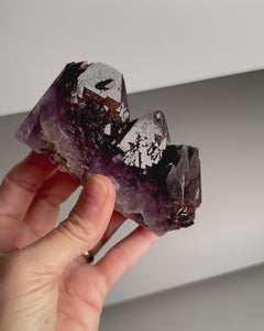 Collection image for: New Arrivals