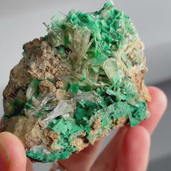Collection image for: Green Malachite