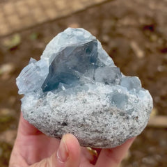 Collection image for: Gemmy Sky Blue Celestite