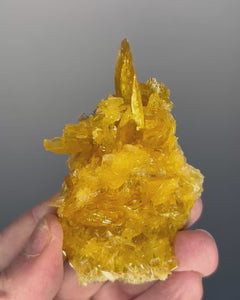 Collection image for: New Arrivals