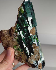 Collection image for: New Arrivals