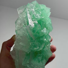Collection image for: Green Halite