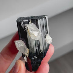Collection image for: Black Tourmaline with Quartz