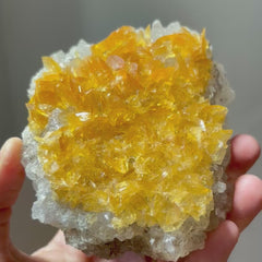 Collection image for: Selenite