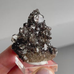 Collection image for: Herkimer Diamond