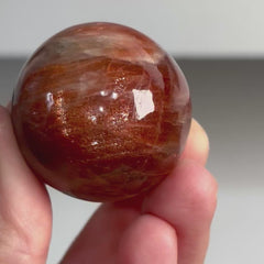 Collection image for: Single Items