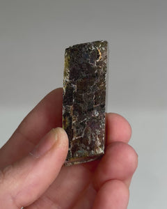 Collection image for: New Arrivals