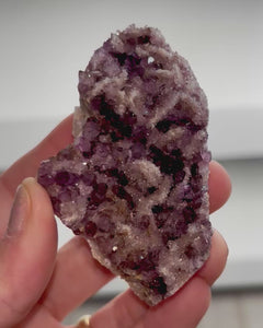 Collection image for: New Arrivals