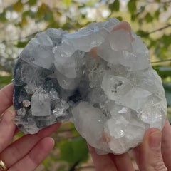 Collection image for: Apophyllite