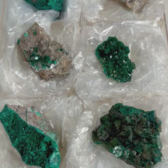 Collection image for: Green Dioptase Lots