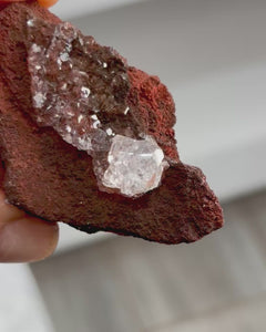 Collection image for: New Arrivals