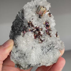 Collection image for: Pyrite with Quartz
