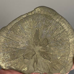 Collection image for: Pyrite Sun