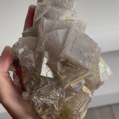 Collection image for: Iridescent Rainbow Fluorite