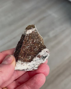 Collection image for: New Arrivals