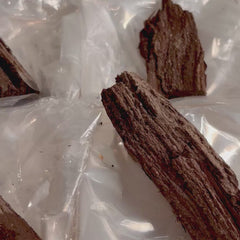 Collection image for: Permineralized Fossil Wood
