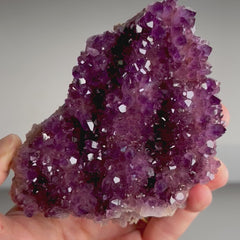 Collection image for: Alacam Amethyst
