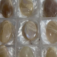 Collection image for: Rainbow Moonstone