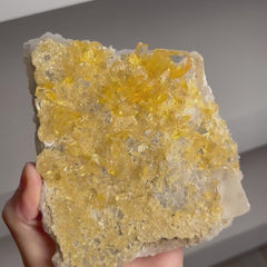 Collection image for: Golden Honey Selenite