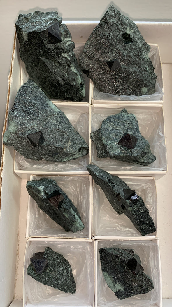 New ! Magnetite With Lustrous Biotite Lot Of 8 Pieces !