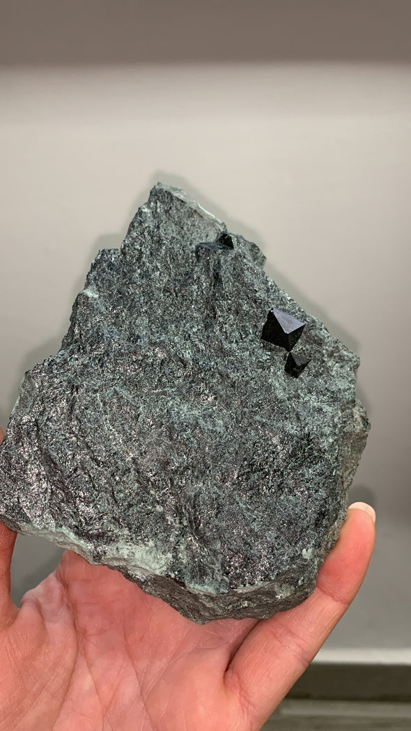 New ! Magnetite With Lustrous Biotite Lot Of 5 Pieces !