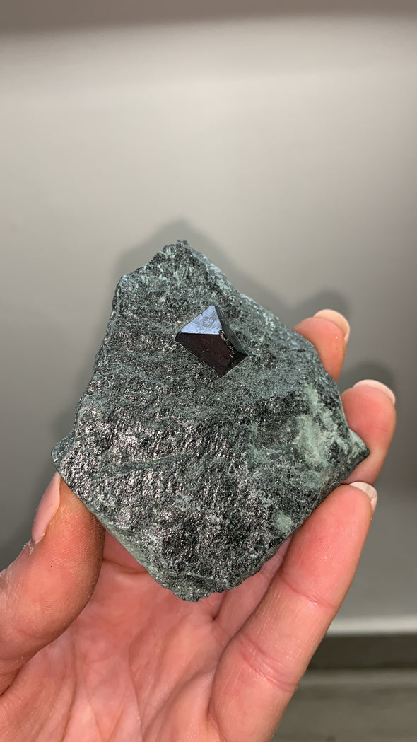 New ! Magnetite With Lustrous Biotite Lot Of 5 Pieces !