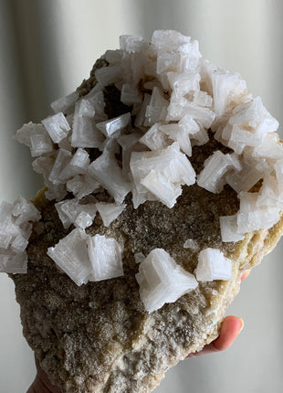 Halite With Yellowish Trona Specimen - Inyo County, California - 1.3 KGS !