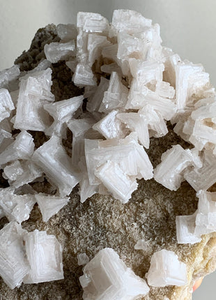 Halite With Yellowish Trona Specimen - Inyo County, California - 1.3 KGS !