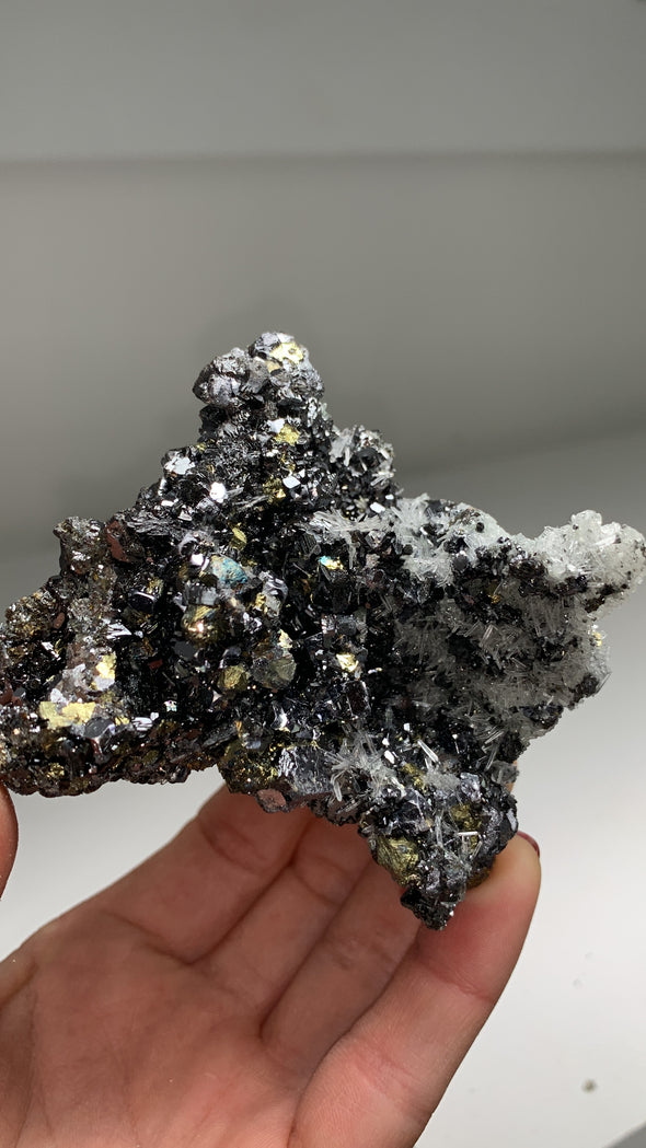 Bright Galena With Pyrite and Quartz Crystals - From Rhodope Mountains, Bulgaria