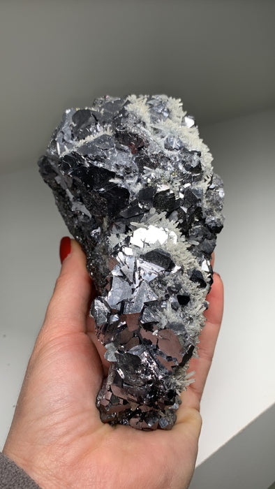 Silvery Galena With Quartz Flowers - From Rhodope Mountains, Bulgaria - 1.7 KGS !